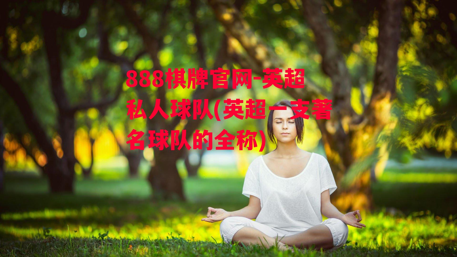 英超私人球队(英超一支著名球队的全称)